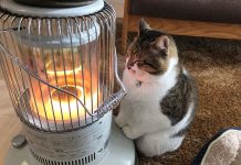 Какой расход топлива у дизельного котла отопления?